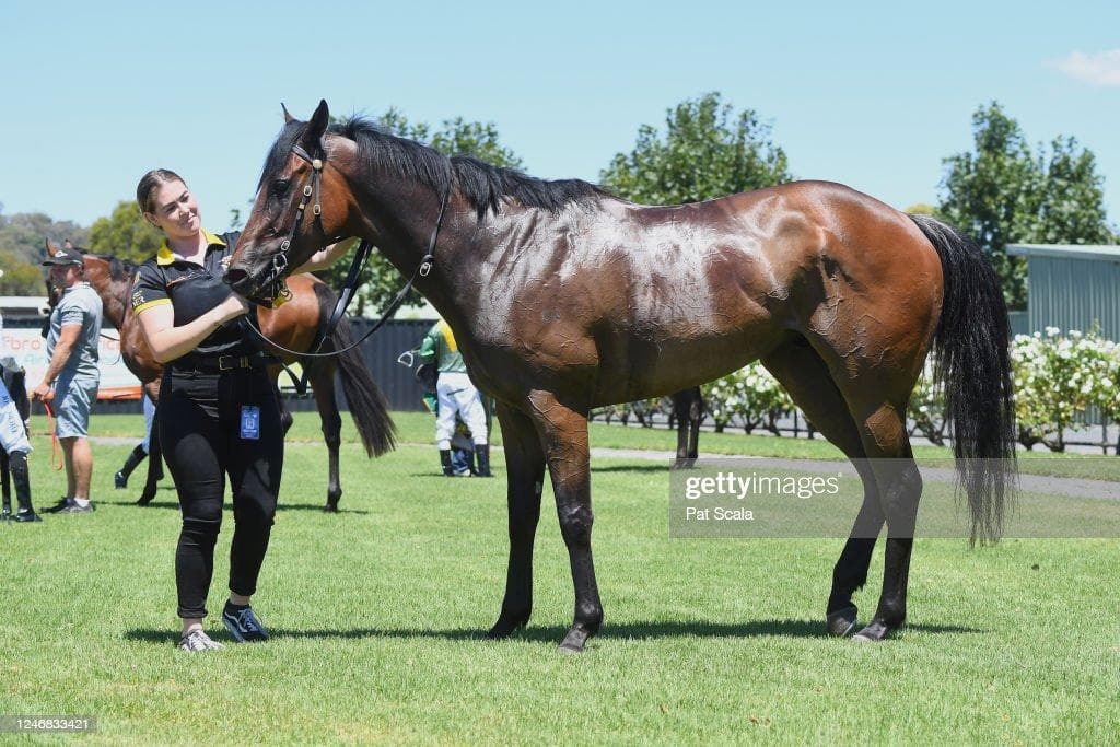 gettyimages-1246833421-1024x1024.jpeg