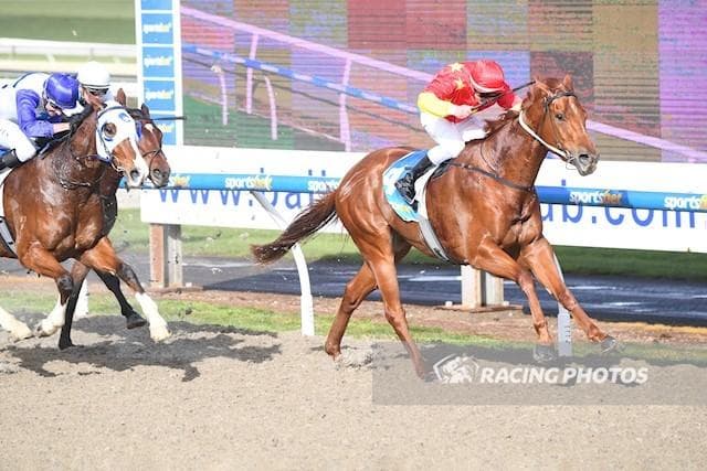 Image 3
