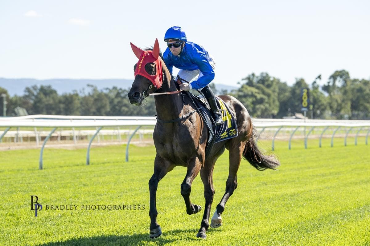 Ex-Godolphin 3yo MONOTONE 