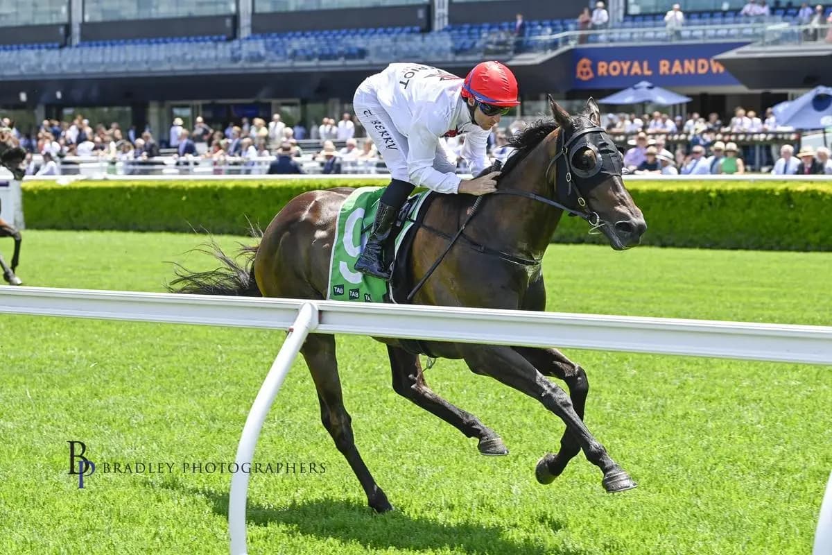 Daily Telegraph article 