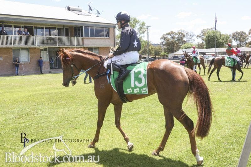 FOR NORTH QLD - MIRROR ILLUSION