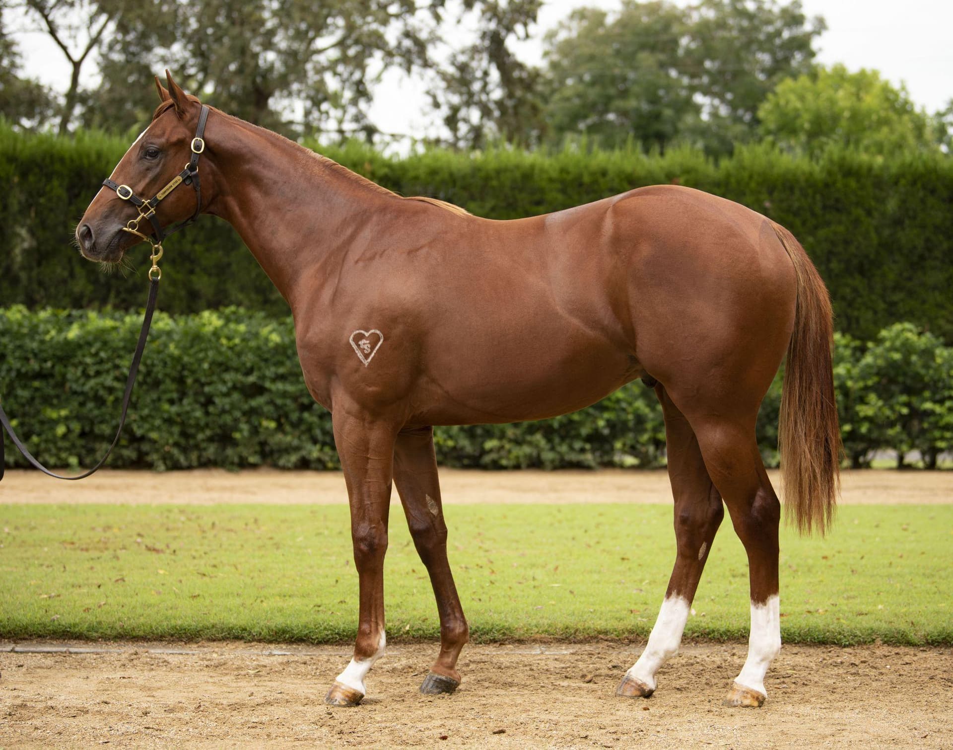 WILBURY - FULLY RESERVED