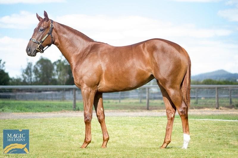 TURTLENECK - FULLY SOLD