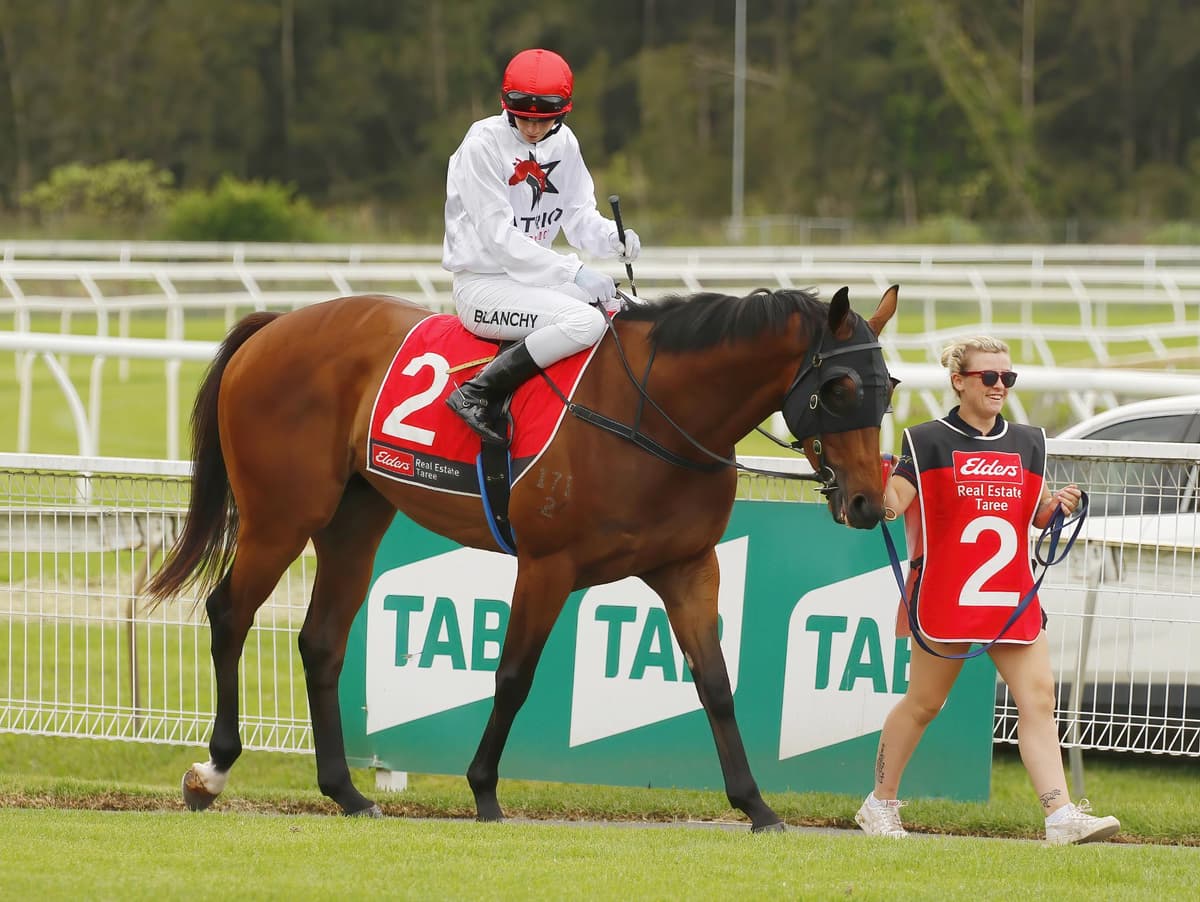 Xtreme - Daily Telegrpah 30 January 2026