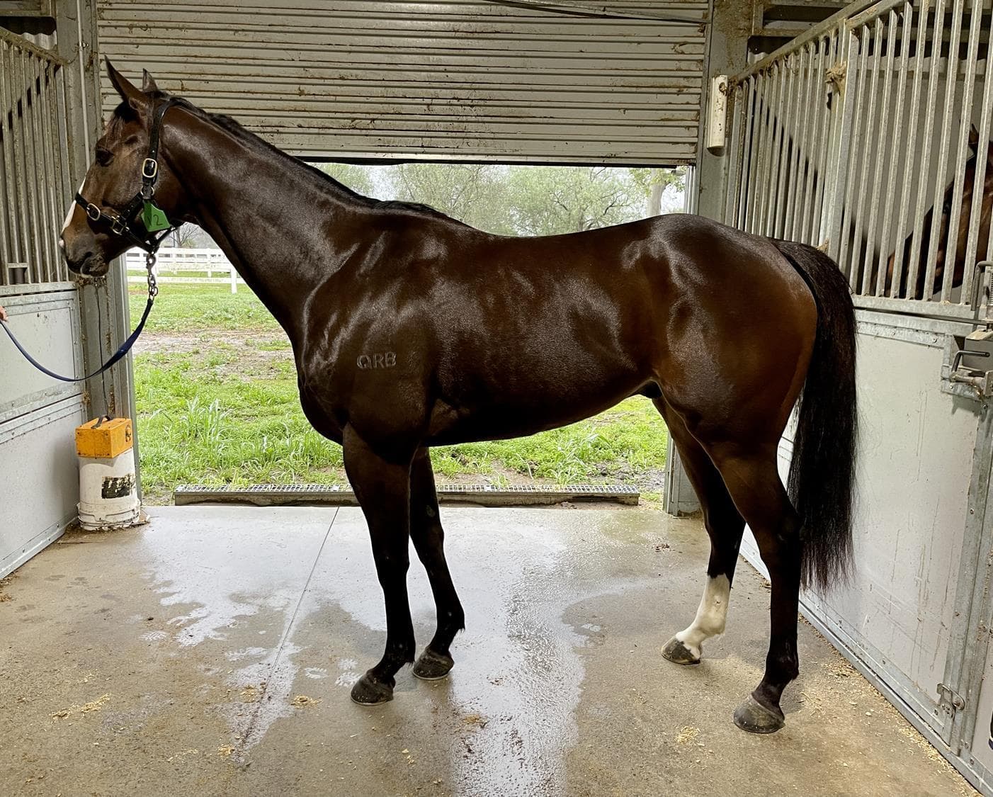 THE HERALD - Fully sold