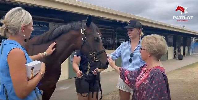 2026 Magic Millions Expression of Interest