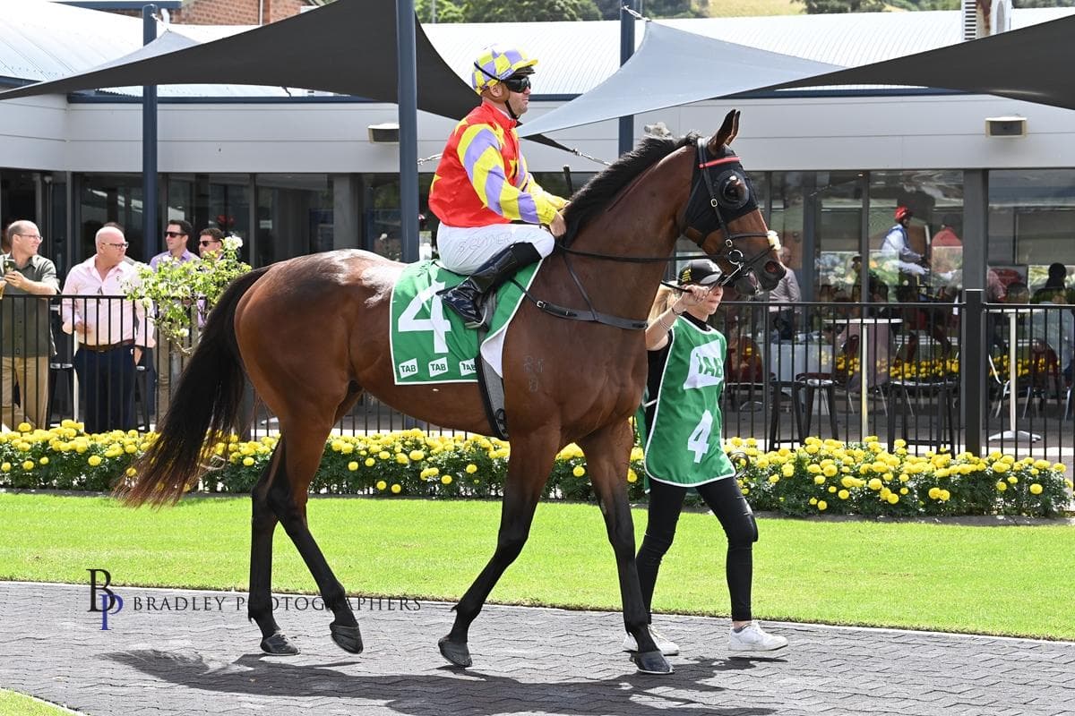 AIR COMBAT - TRIED HORSE