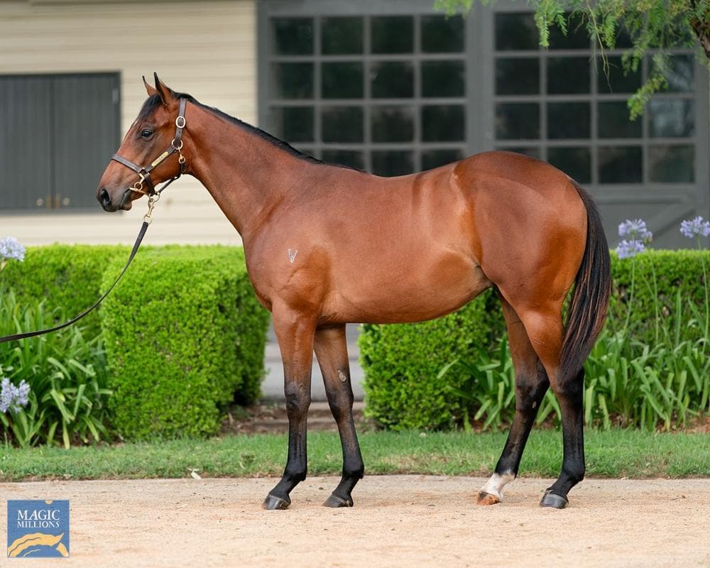 Last 5% share remains 3yo Tried Horse, XTREME Paul Snowden at Port Macquarie