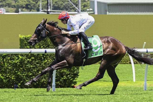 Navy Buoy smashes them in the Highway!